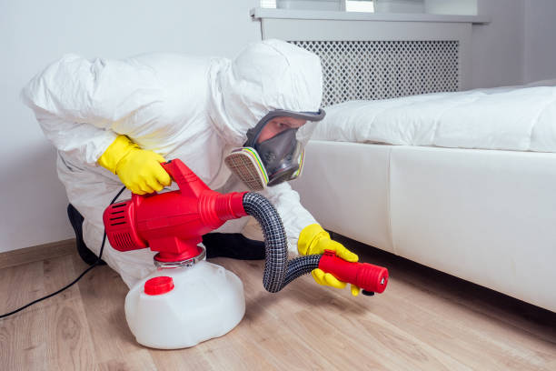 Real Estate Pest Inspections in Loretto, TN